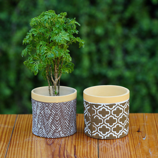 Ceramic Contemporary Wooden Accents Planter/ Pot For Plants