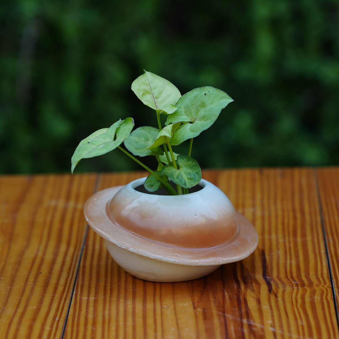 Ceramic Classic Cap Pot for Plants