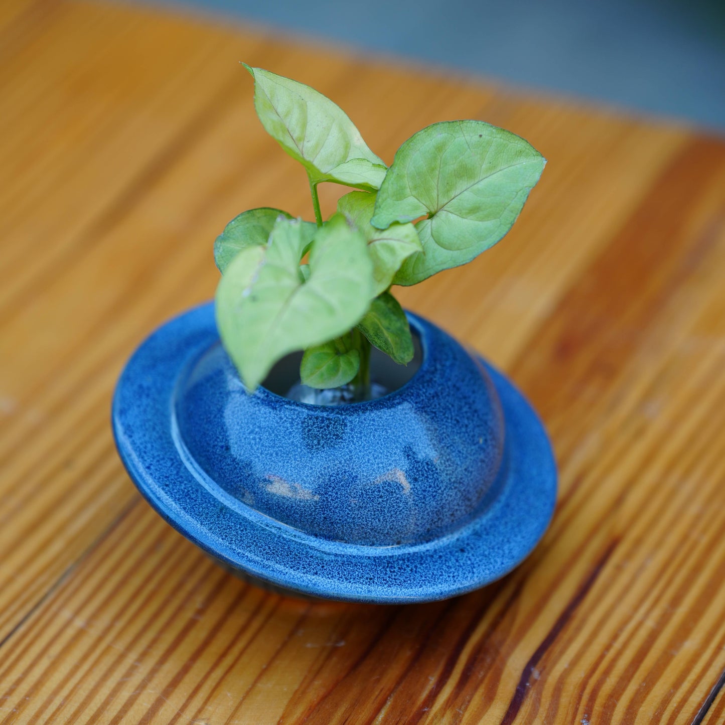 Ceramic Classic Cap Pot for Plants