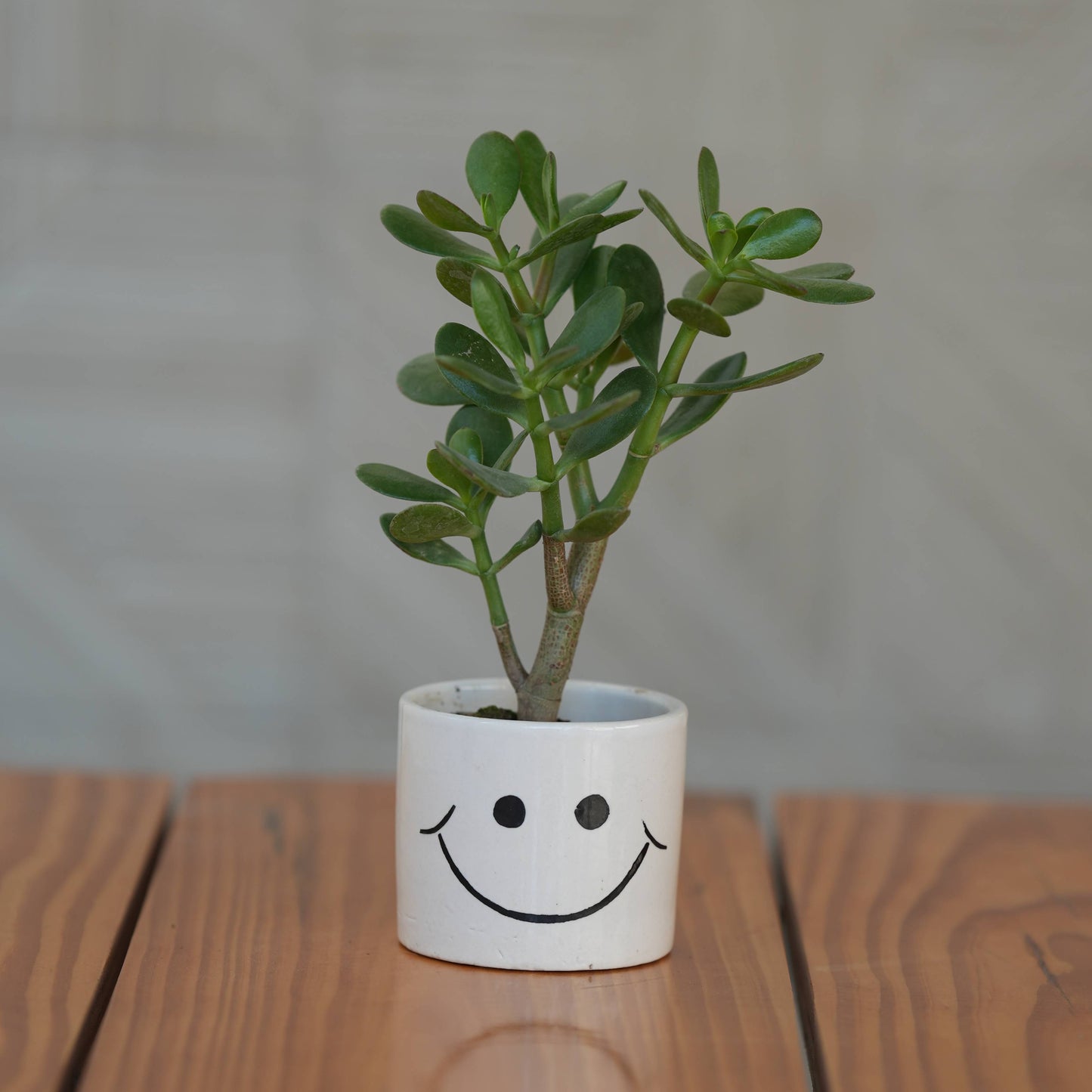 Cheerful Smiley Face Ceramic Planter for Plants