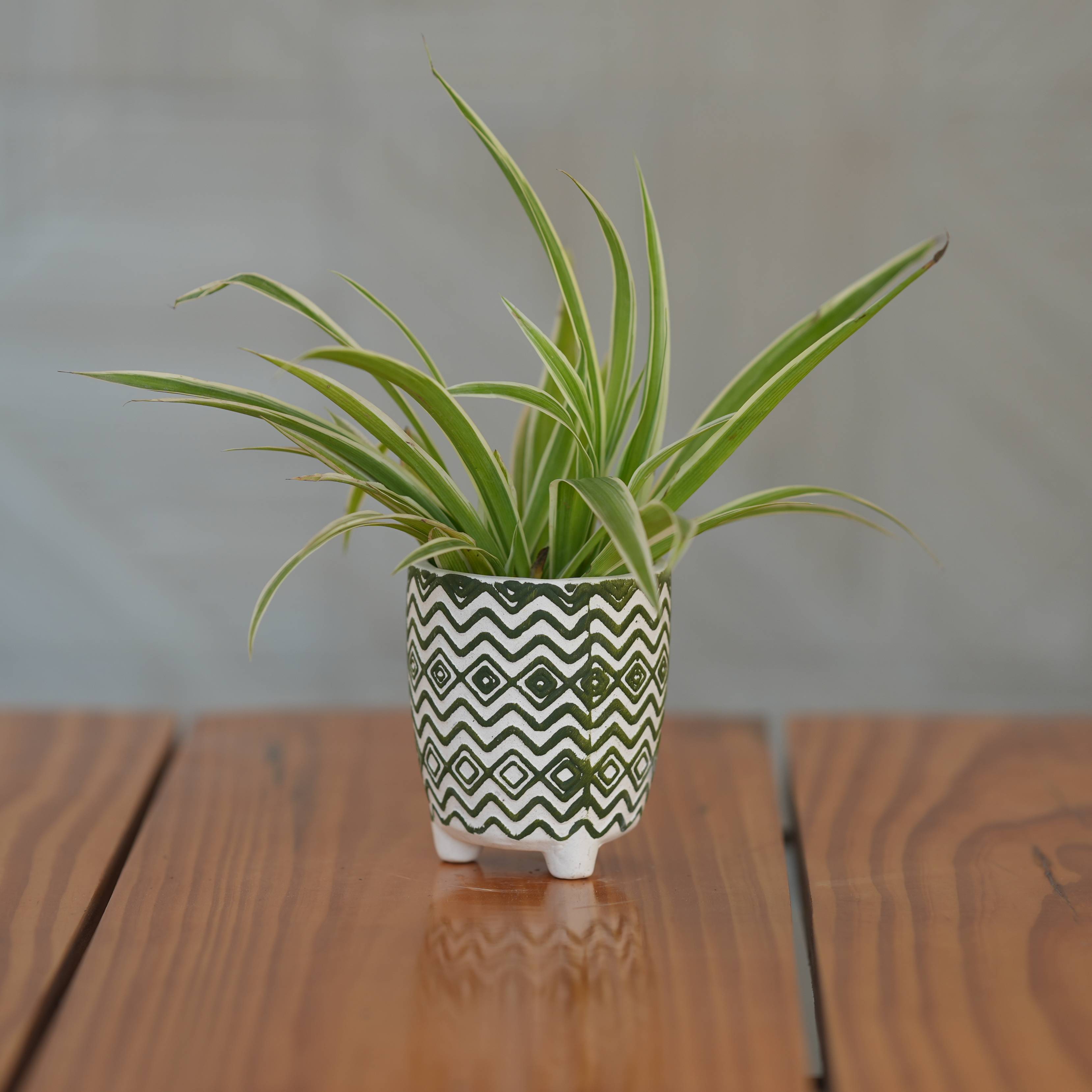 Ceramic Unique Green and White Zigzag Pattern Planter For Plants