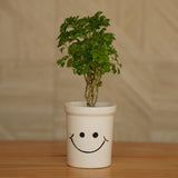 Cheerful Smiley Face Ceramic Planter for Plants