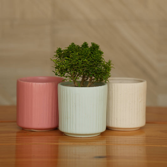 Ceramic Round Vertical Stripes Planter/Pot For Plants