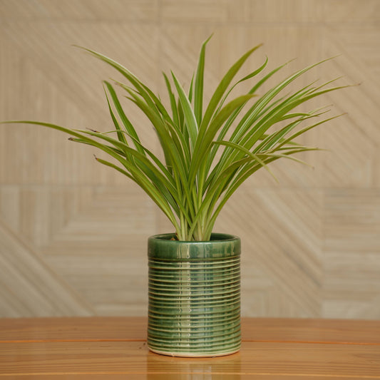 Ceramic Pipe Shape Ribbed Pot/ Planter For Plants