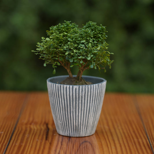 Ceramic Minimalist Grey Stripe Design Pot For Plants