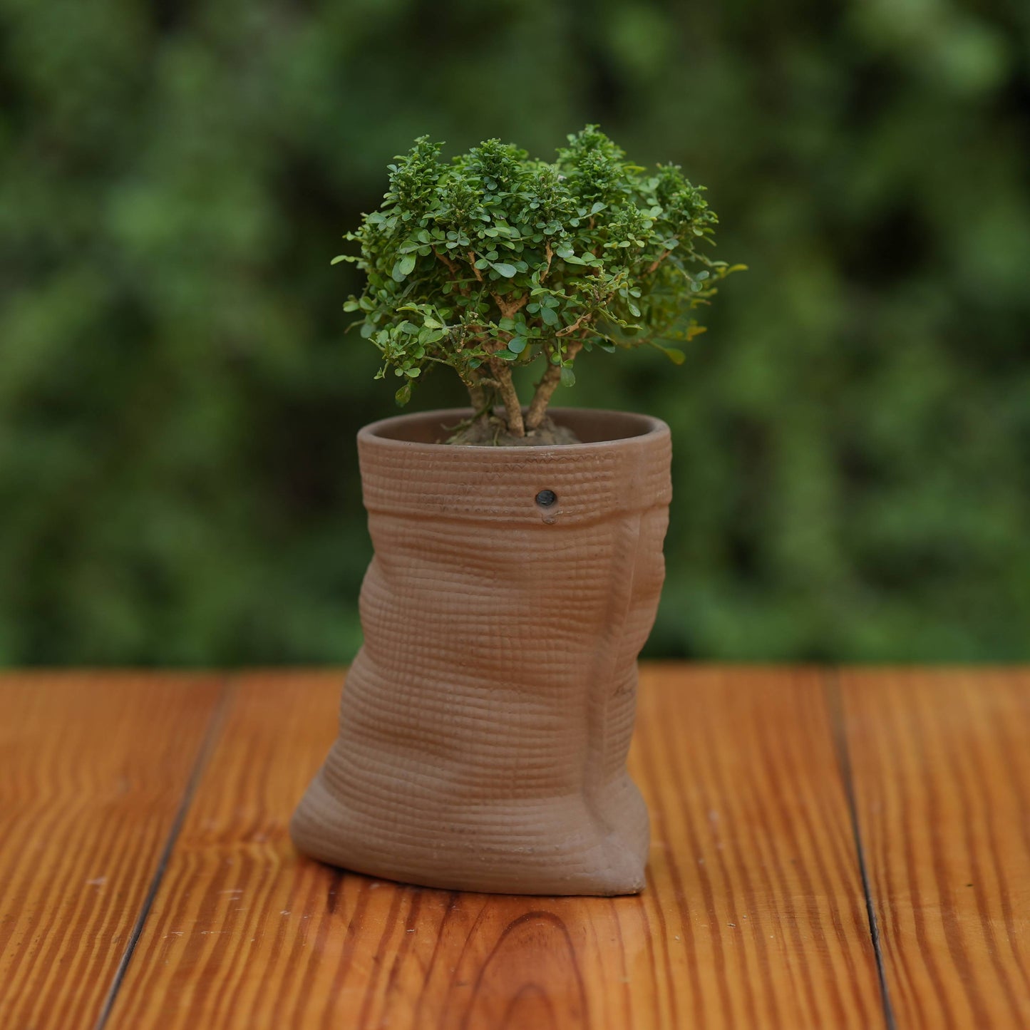 Ceramic Artisanal Grooved Tapered Pot/ Planter For Plants