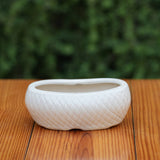 White Ceramic Planter with Diamond Texture