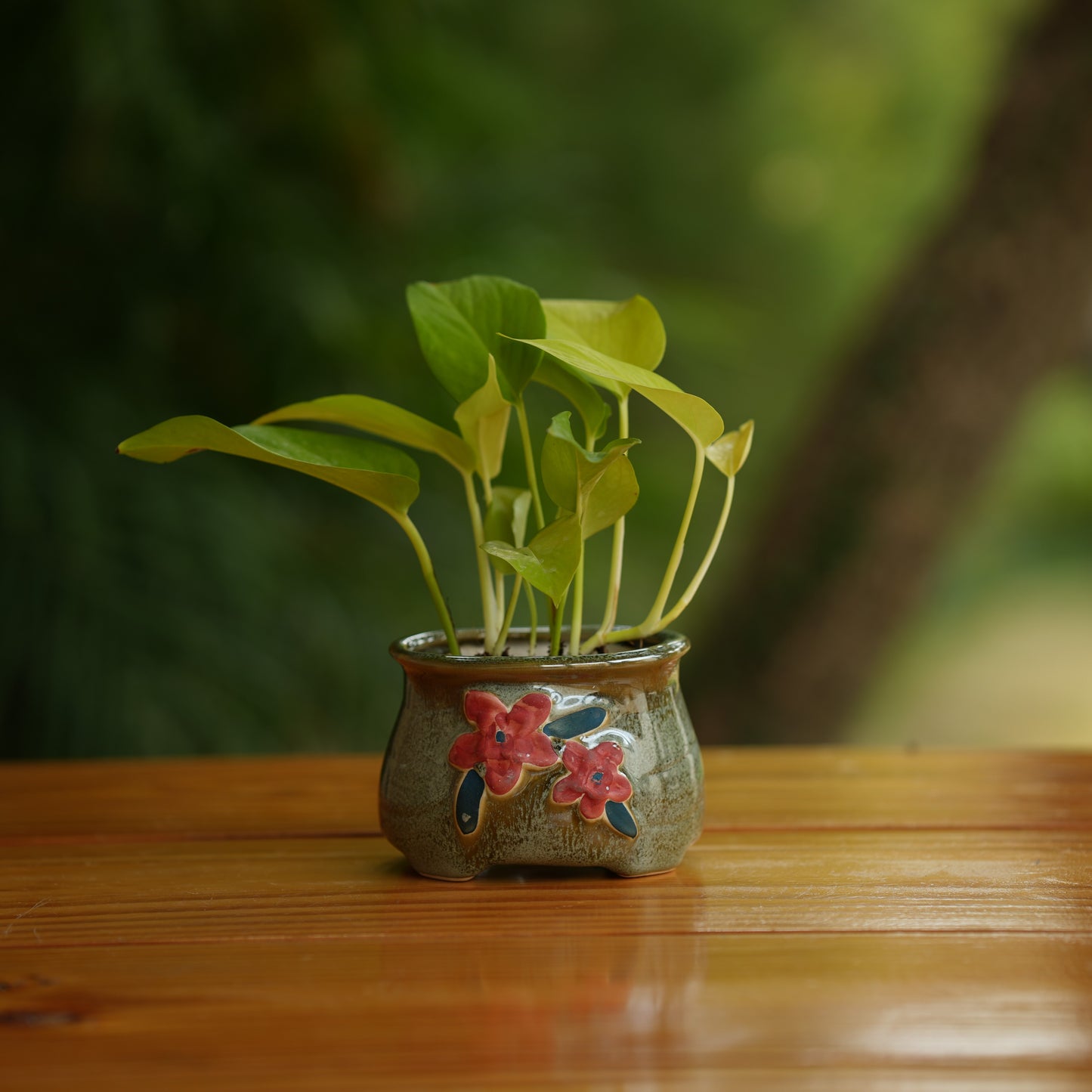 Handi Flower Design Ceramic Planter