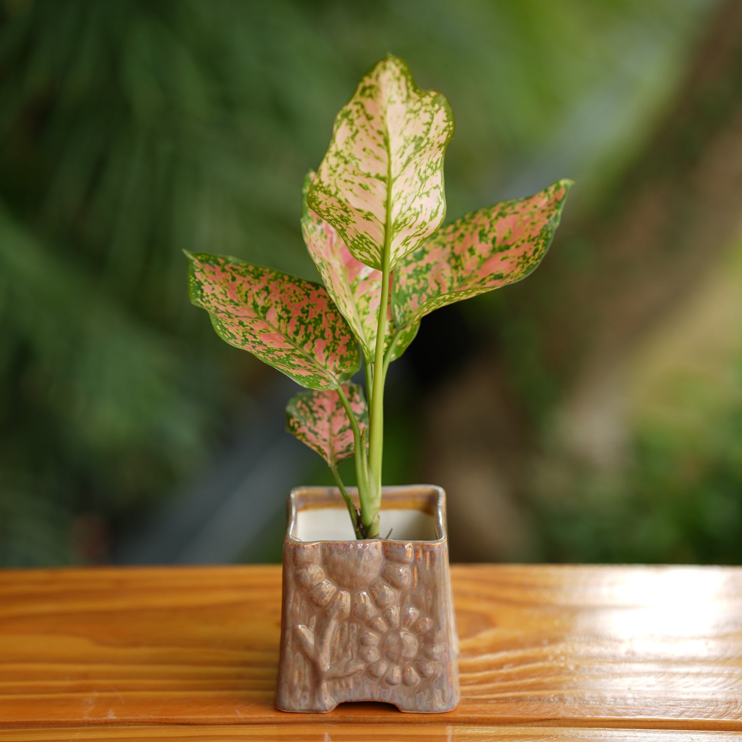 Square Shape Flower Design Ceramic Planter