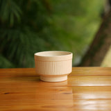 Handi Ribbed Ceramic Planter (Cream)