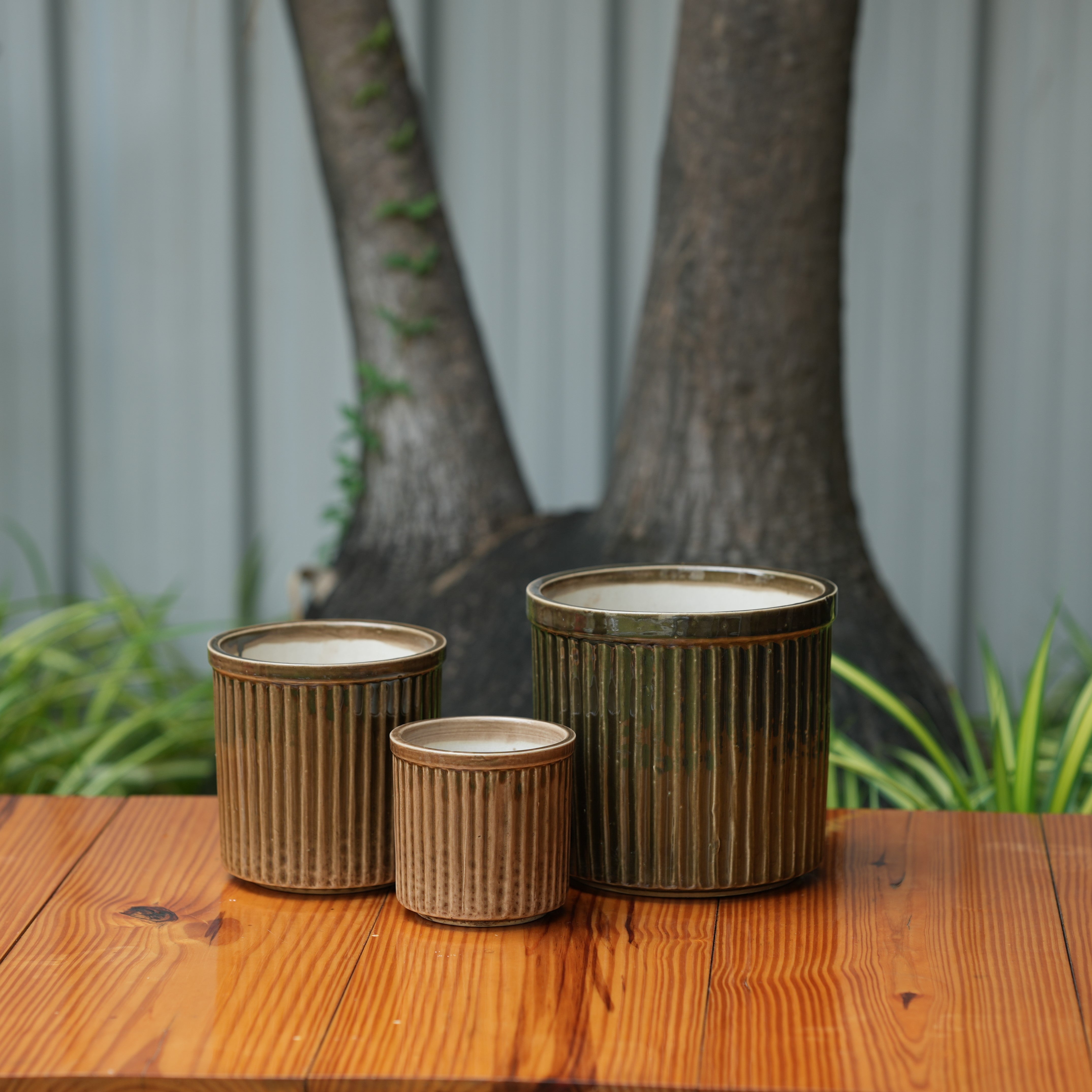 Celendrical Ribbed Ceramic Planter (Brown)