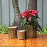 Celendrical Ribbed Ceramic Planter (Brown)