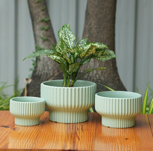 Round Shape Ribbed Pista Colour Ceramic Planter