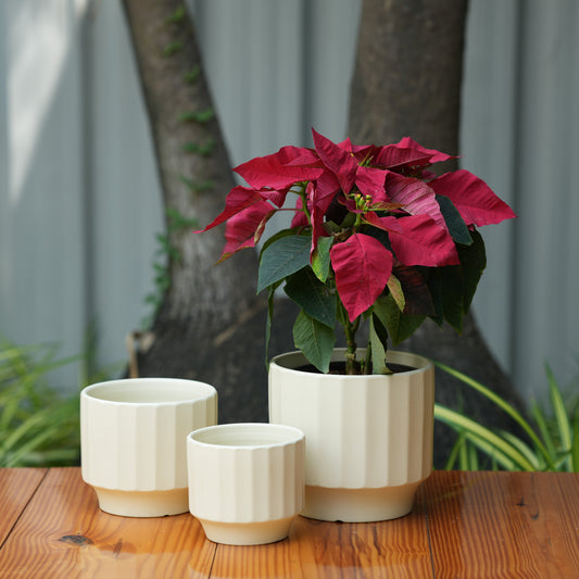 Gamla Ribbed Ceramic Planter (Cream)