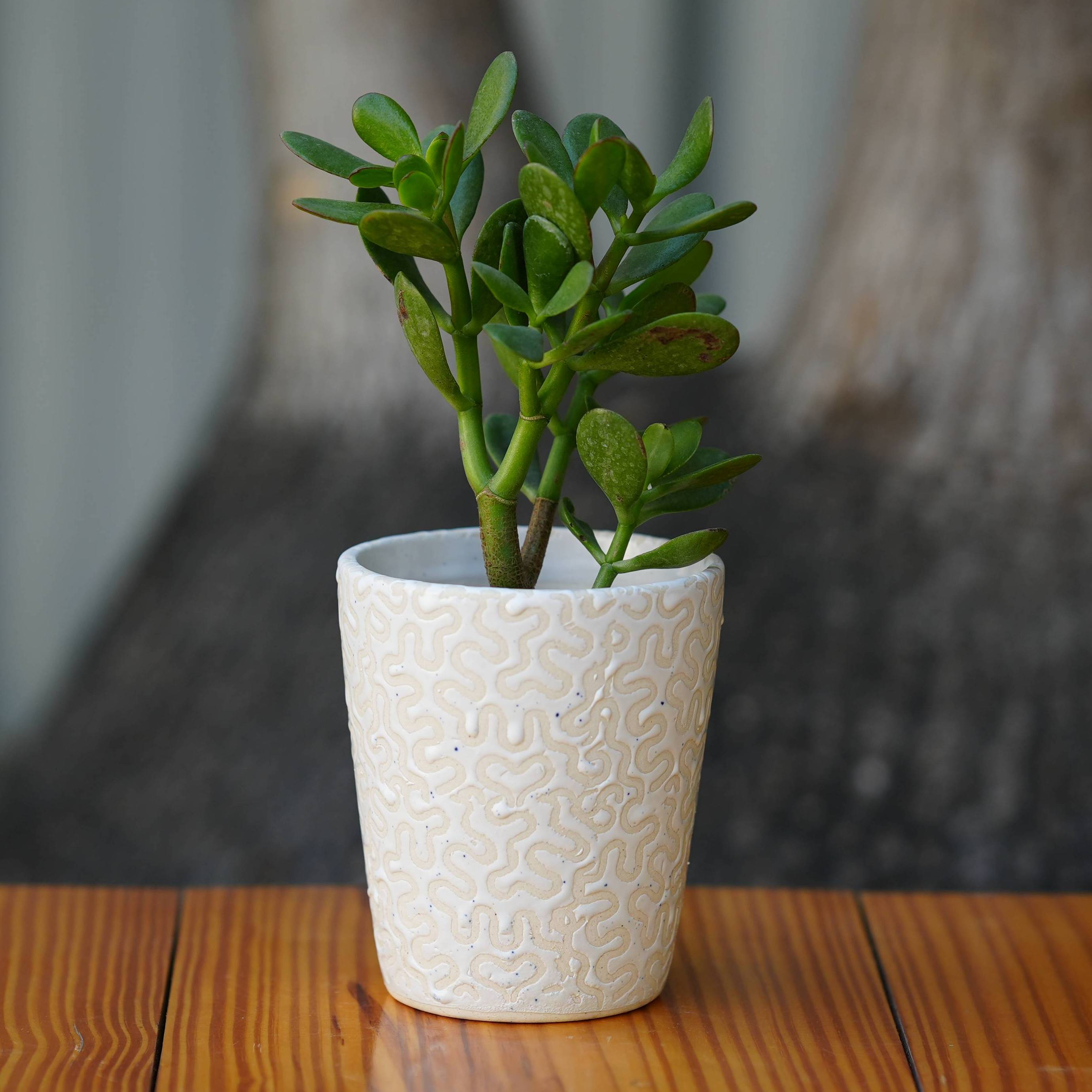 Modern White Ceramic Pot with Textured Pattern