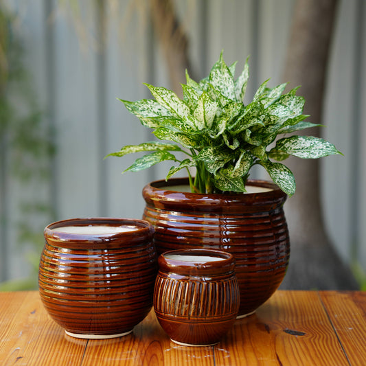 Ceramic Planter with Glossy Glazed Finish