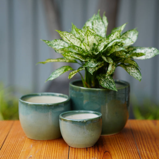 Modern Green Glazed Ceramic Planter