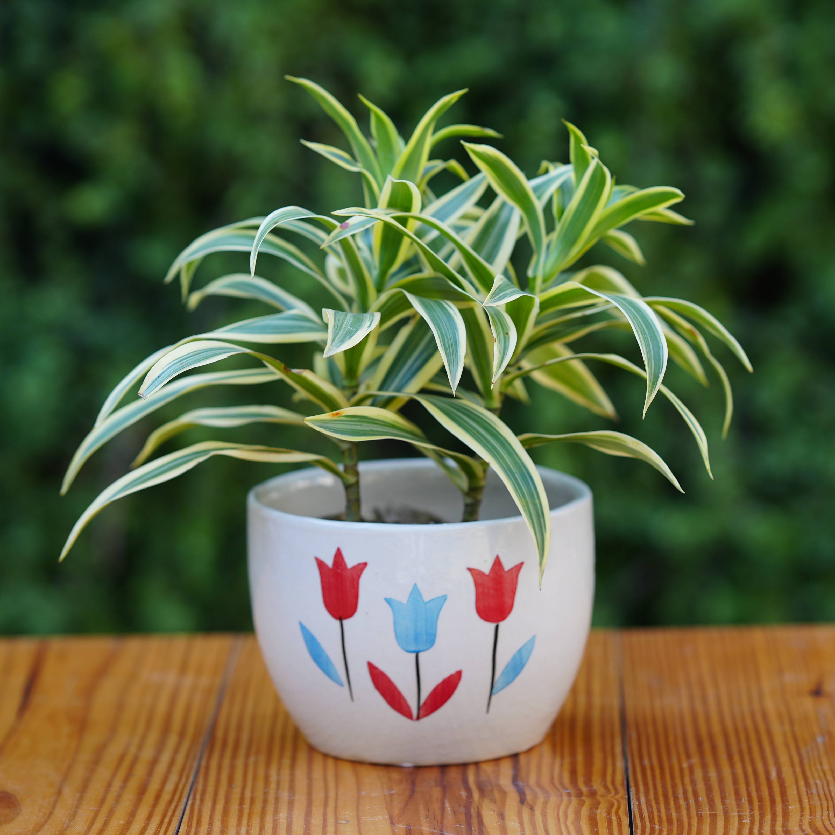 Floral Painted Ceramic Planter