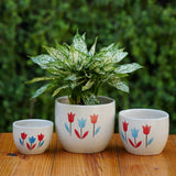 Floral Painted Ceramic Planter