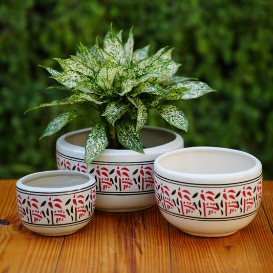 Nature-Inspired Red and Black Patterned Ceramic Planter