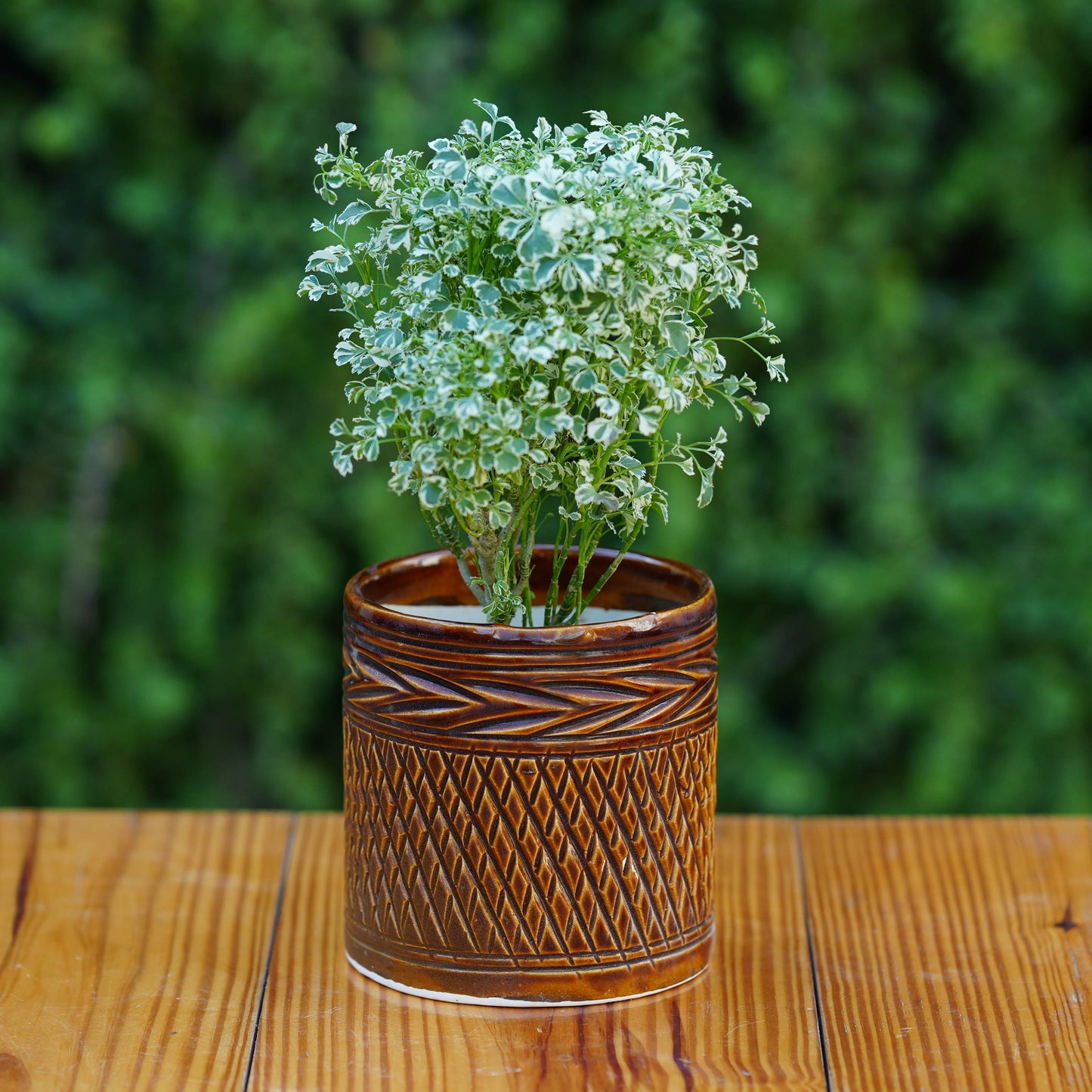Ceramic Woven-Texture Planter/ Pot For Plants