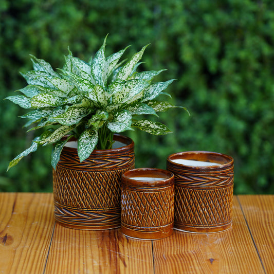 Ceramic Woven-Texture Planter/ Pot For Plants
