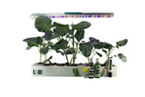 11 plant Hydroponics Pro GrowKit for Beginners and home use with 22W light and ph Meter along with 19 essential components for growing plants indoors