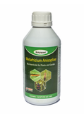 Metarhizium anisopliae Bio Pesticide