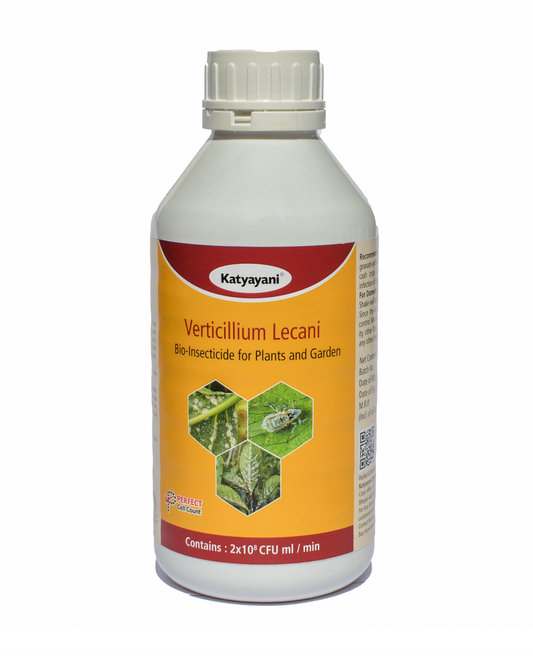 Verticillium lecanii Bio Pesticide