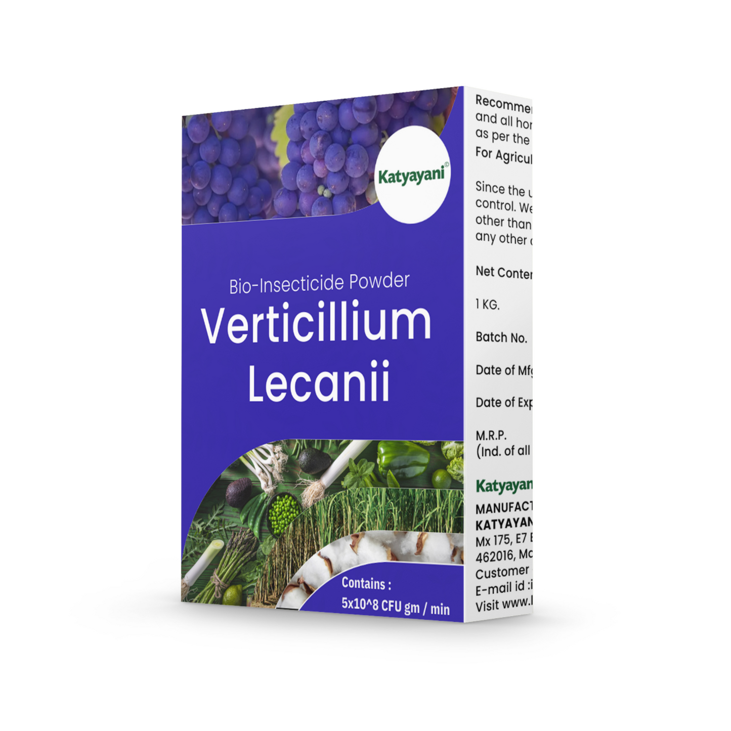 Verticillium Lecanii Bio Insecticide Powder