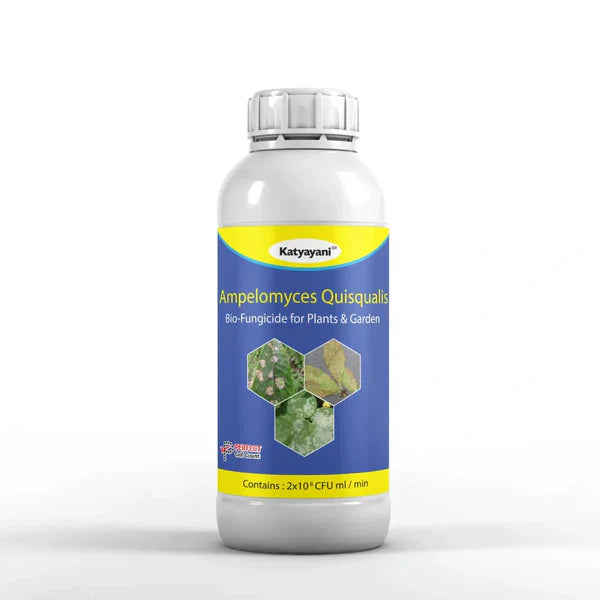 Ampelomyces Quisqualis Bio Fungicide