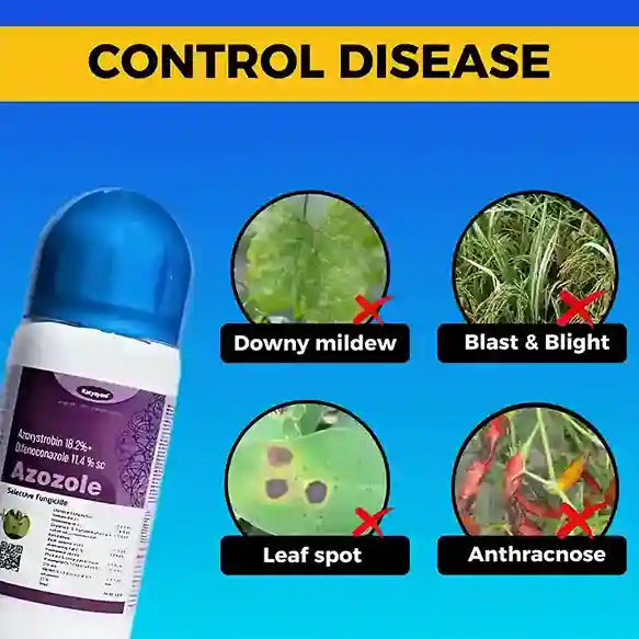 Katyayani Azozole | Azoxystrobin 18.2% + Difenoconazole 11.4% SC | Fungicide