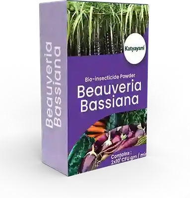 Beauveria Bassiana Bio Insecticide Powder