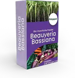 Beauveria Bassiana Bio Insecticide Powder