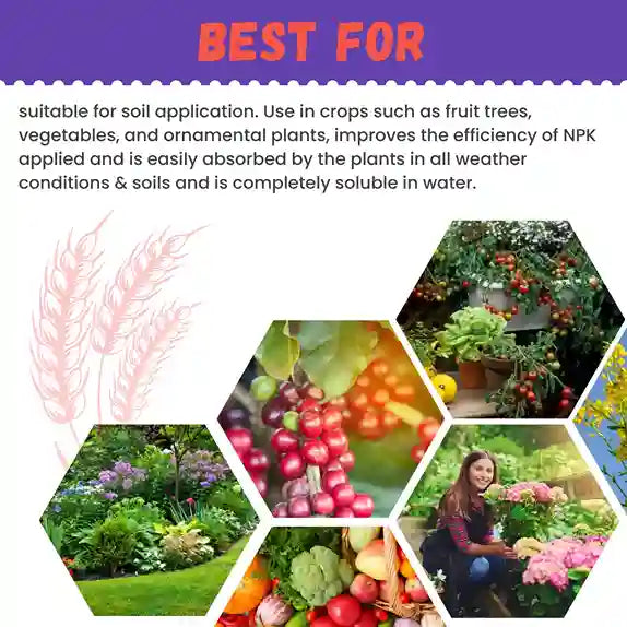 Katyayani Zinc EDTA 12% Fertilizer | High-Quality Soil Activator for Enhanced Crop Growth and Nutrient Absorption