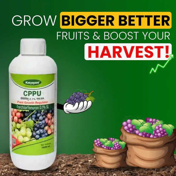 Katyayani CPPU (Forchlorfenuron) 0.1% L | Plant Growth Regulator for Enhanced Crop Development