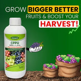 Katyayani CPPU (Forchlorfenuron) 0.1% L | Plant Growth Regulator for Enhanced Crop Development