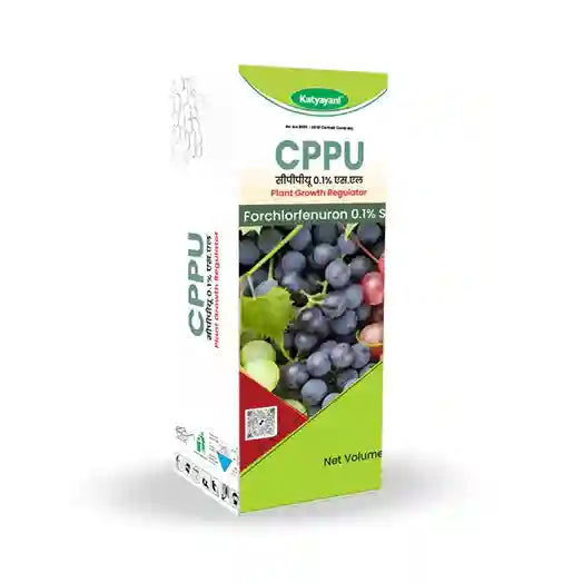 Katyayani CPPU (Forchlorfenuron) 0.1% L | Plant Growth Regulator for Enhanced Crop Development