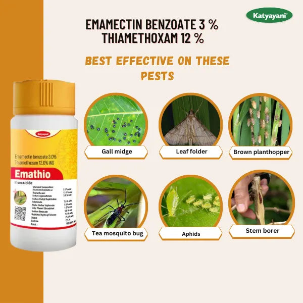 KATYAYANI EMATHIO | EMAMECTIN BENZOATE 3% + THIAMETHOXAM 12% WG | CHEMICAL INSECTICIDE