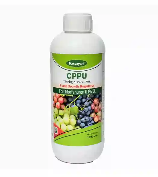 Katyayani CPPU (Forchlorfenuron) 0.1% L | Plant Growth Regulator for Enhanced Crop Development
