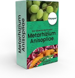 Metarhizium Anisopliae Bio Insecticide Powder