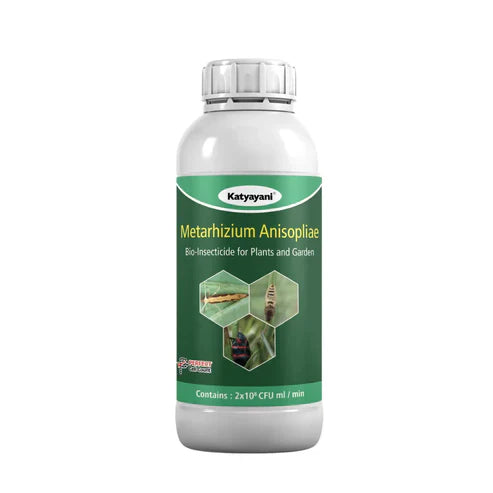 Metarhizium anisopliae Bio Pesticide