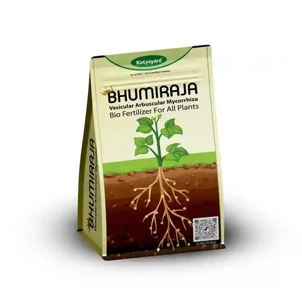 KATYAYANI BHUMIRAJA | MYCORRHIZA | BIO FERTILIZER