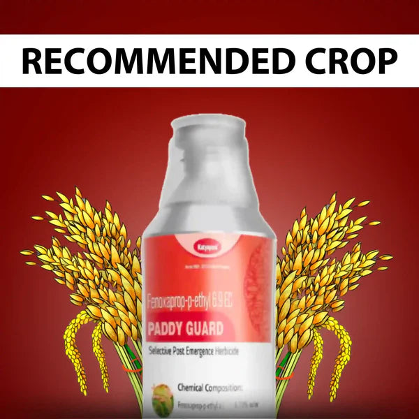 Katyayani Paddy Guard | Fenoxaprop-p-ethyl 6.9% EC | Chemical Herbicides