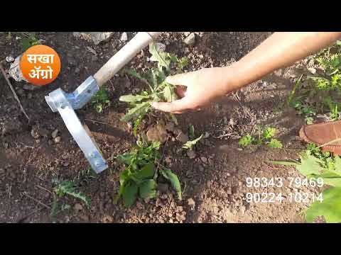 Manual/Hand Weeder for removal of weeds/grass
