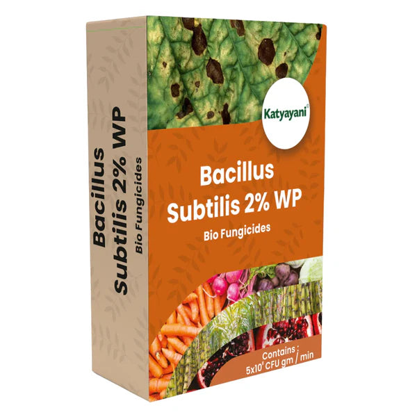 Bacillus Supp 2% Powder