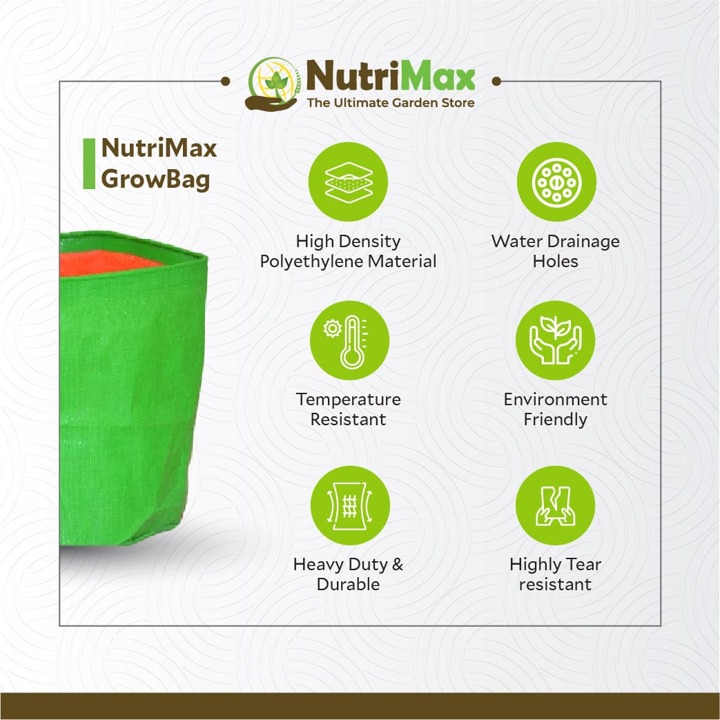 Nutrimax HDPE 200 GSM 12 inch x 12 inch Outdoor Plant Bag