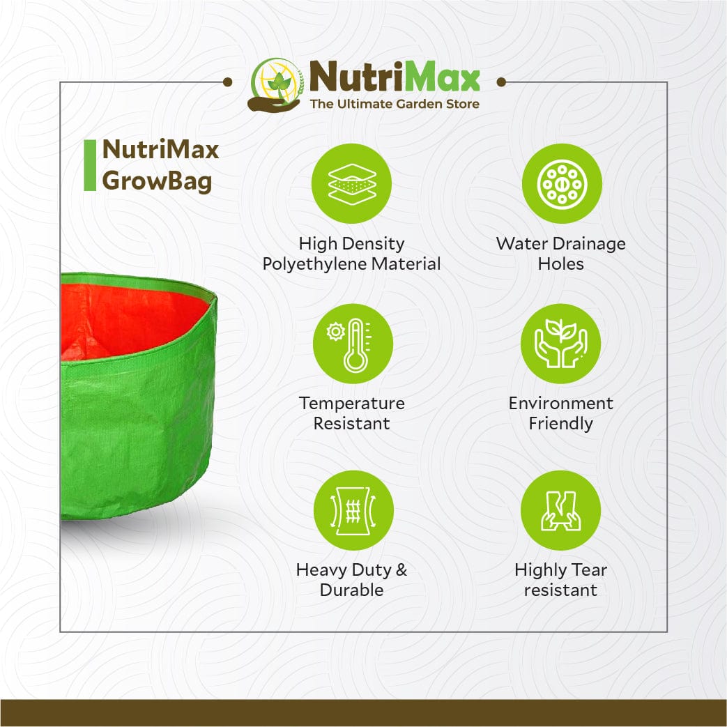 Nutrimax HDPE 200 GSM Growbags 12 inch x 9 inch Outdoor Plant Bag