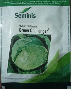 Seminis Seeds F1 Hybrid Green Cabbage Seeds