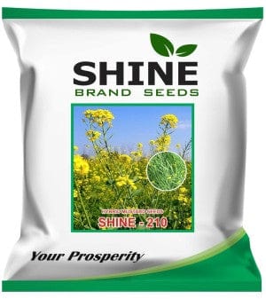 Shine Brand Seeds Shine-210 Mustard Seeds (1 Kg)
